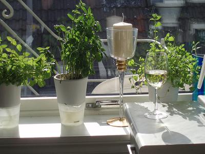 Growing   Herbs on Grow Your Very Own Herbal Garden For The Kitchen